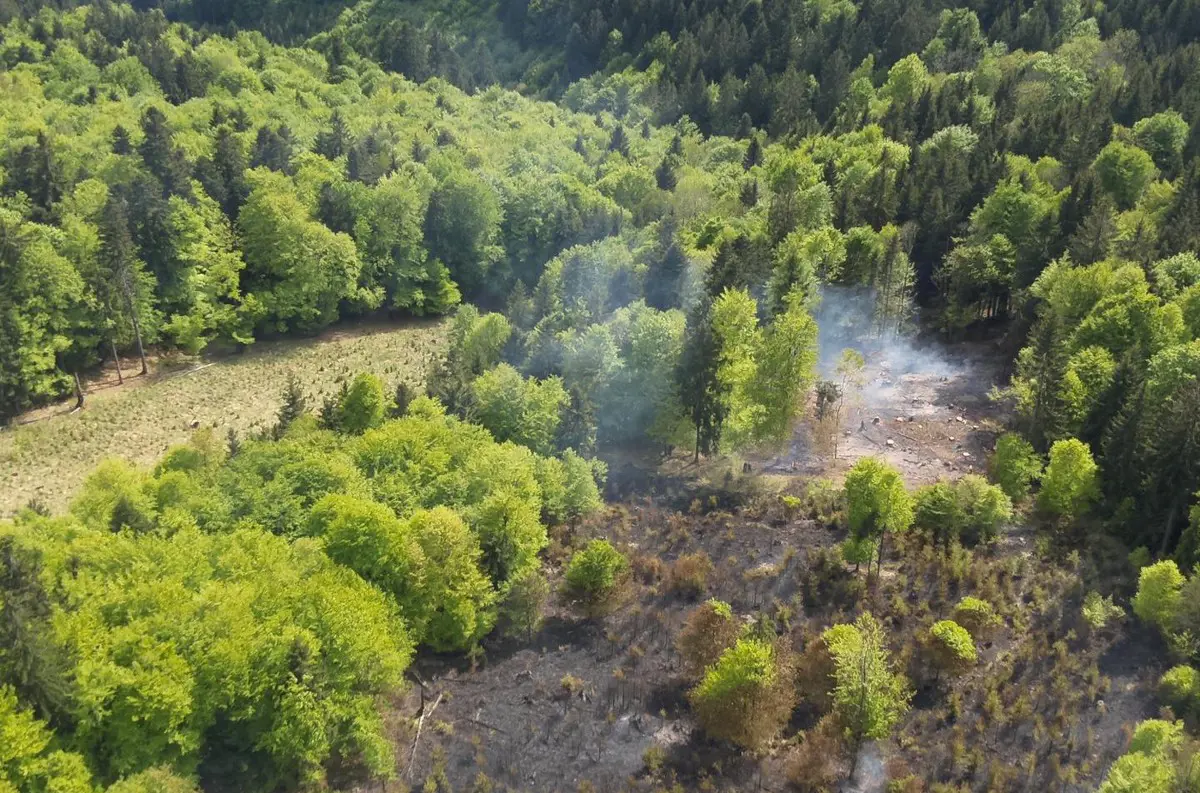 Hasiči vyhlásili výstrahu: V týchto okresoch hrozia požiare, platia prísne zákazy