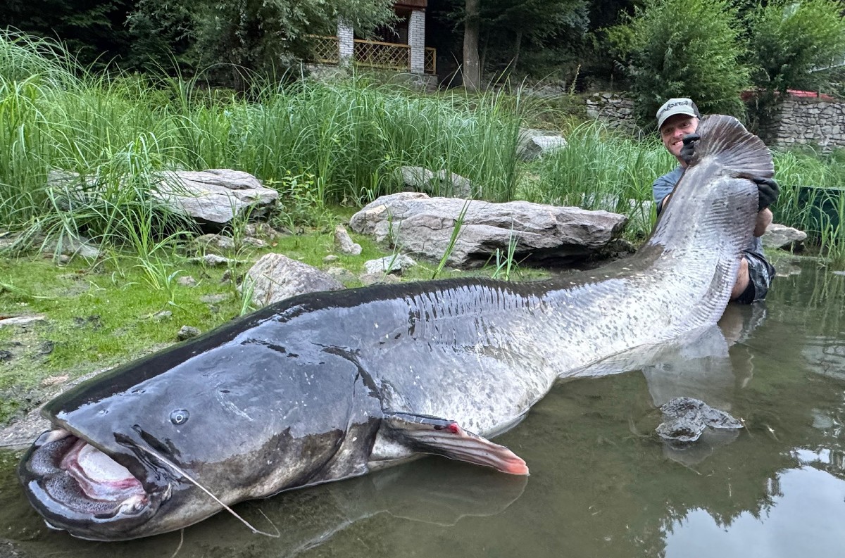 Český rybár Jakub Vágner chytil obrovského sumca: 268 cm dlhý úlovok láme rekordy