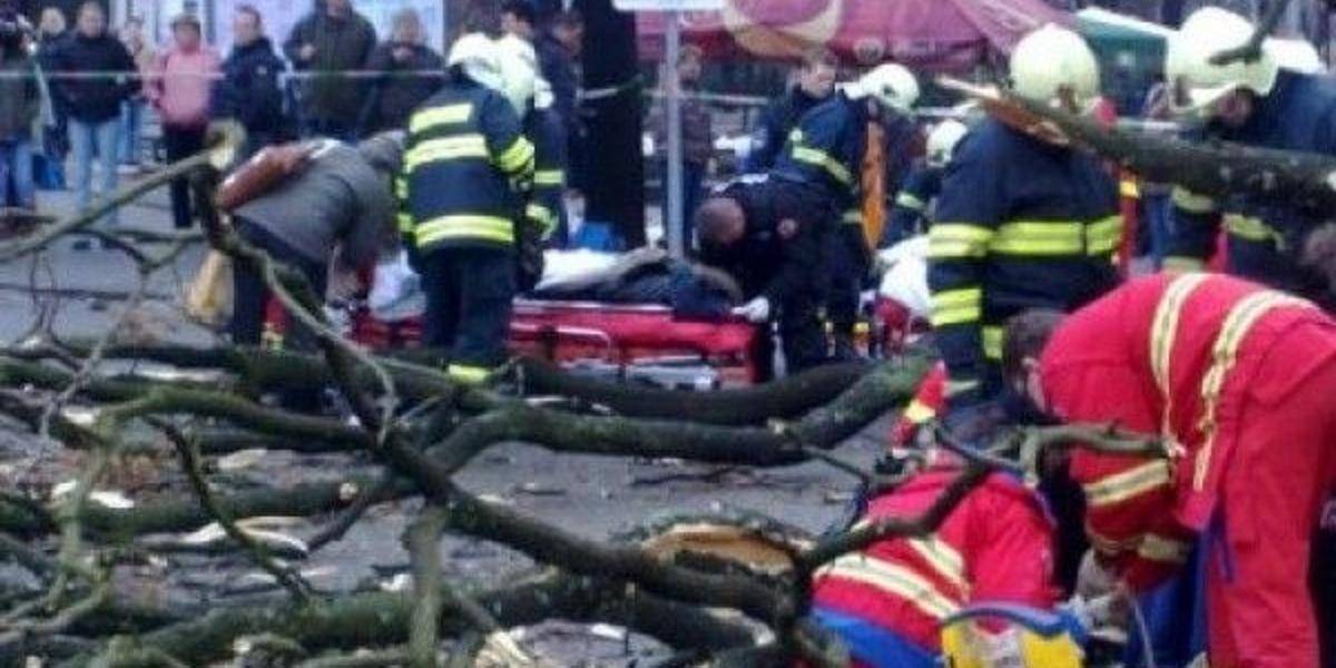 Padajúci strom zabil 31 ľudí 