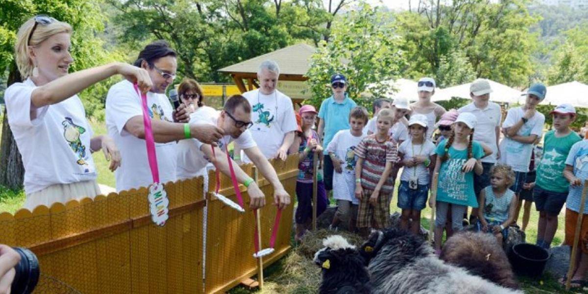 ZOO v Bratislave zažila trojnásobný ovečkovský krst