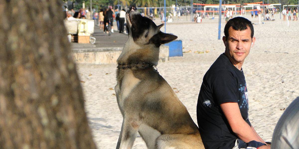 Chovateľov by mali trestať za útoky psov na ľudí