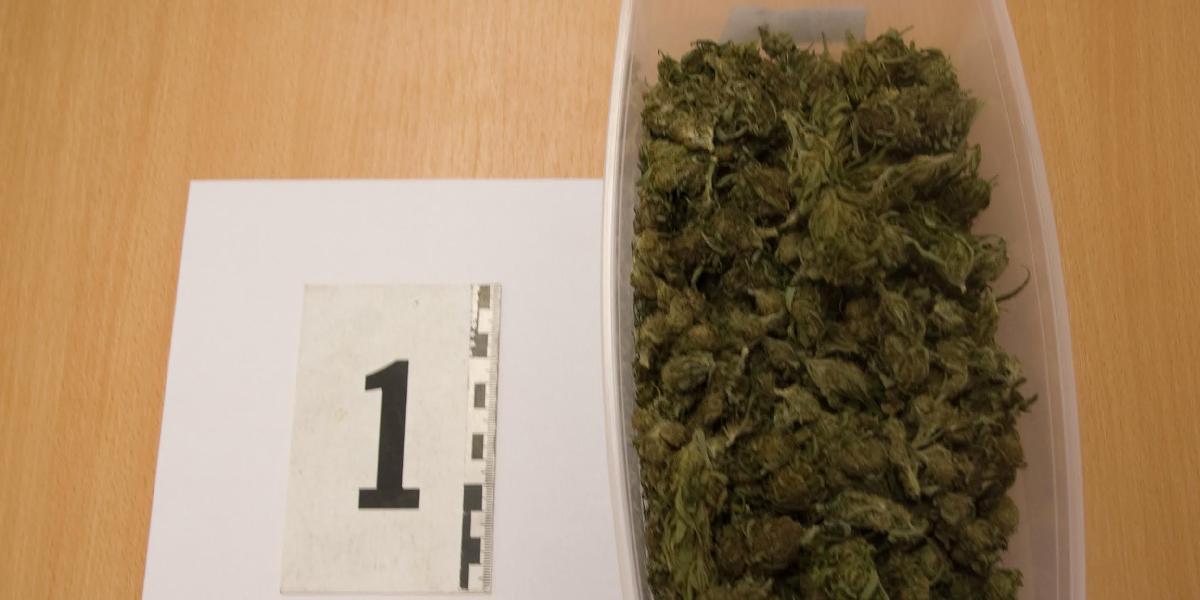 Polícia zhabala takmer osem kilogramov marihuany!