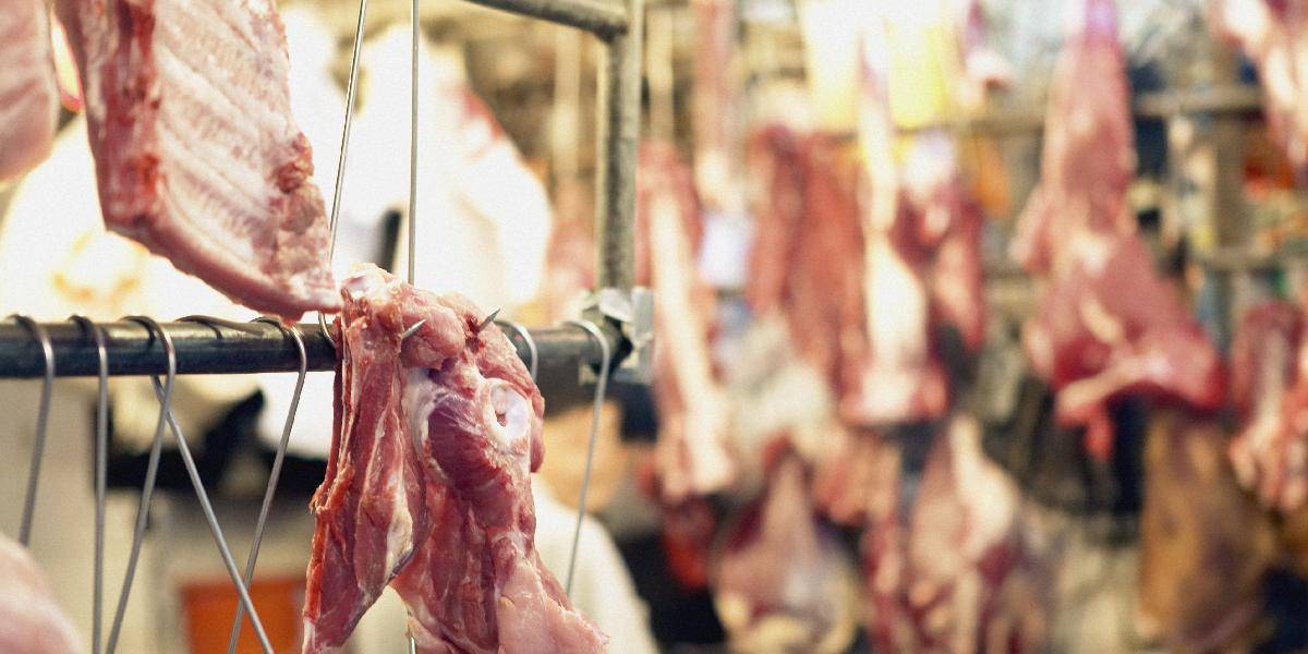 V Česku našli v 1,5 tone bravčového mäsa preparát proti parazitom
