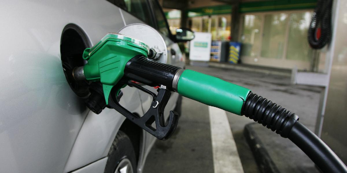 Nafta v uplynulom týždni zdražela, cena LPG klesla