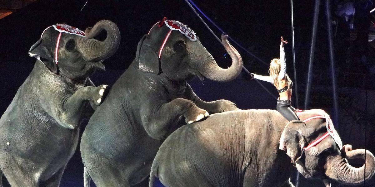Monacká panovnícka rodina prichýlila dve ohrozené bývalé cirkusové slonice