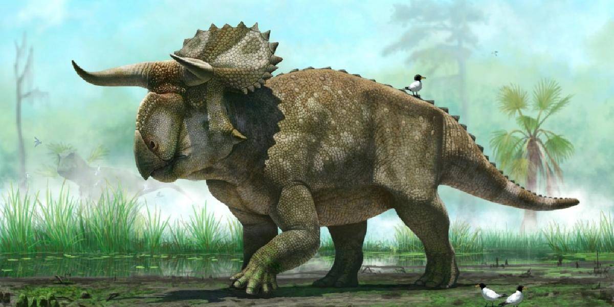 Vedci objavili nový druh dinosaura, pomenovali ho nasutoceratops