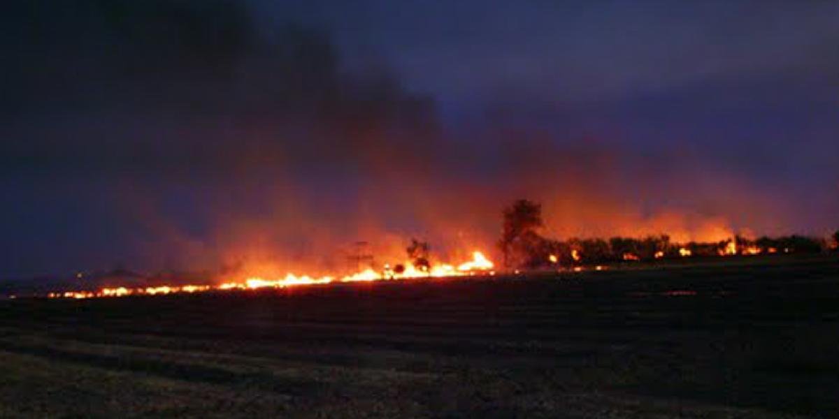 Požiar medzi Lábom a Zohorom zničil asi 100 hektárov pšenice