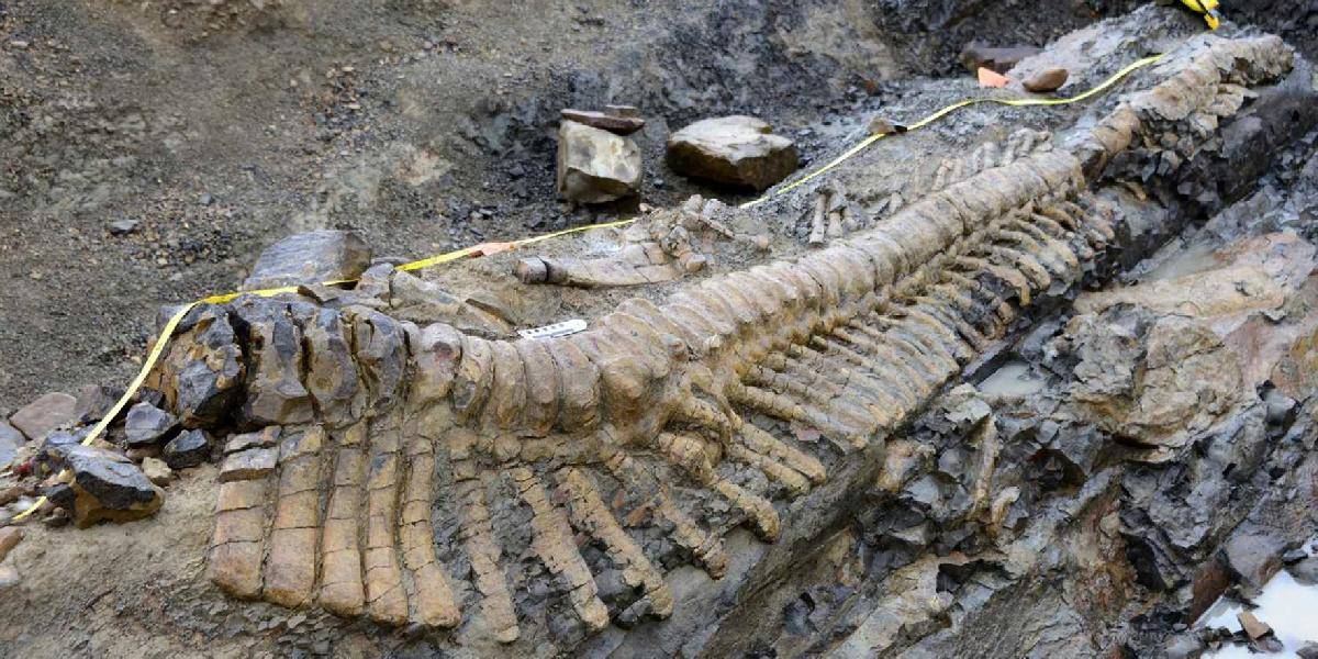 V Mexiku objavili skamenené pozostatky dinosaurieho chvosta