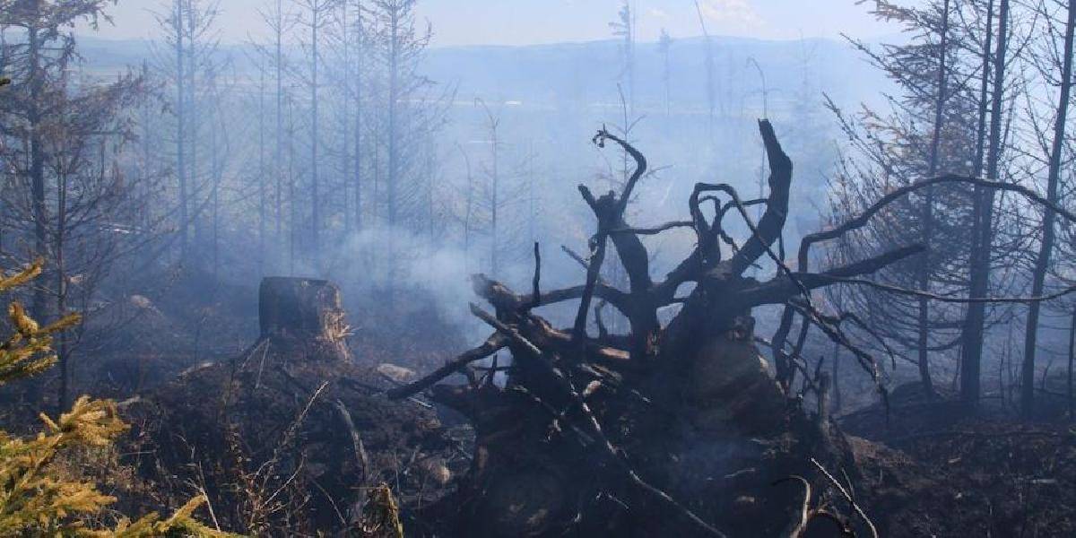 Vo Vysokých Tatrách medzi Poliankami horí mladý lesný porast