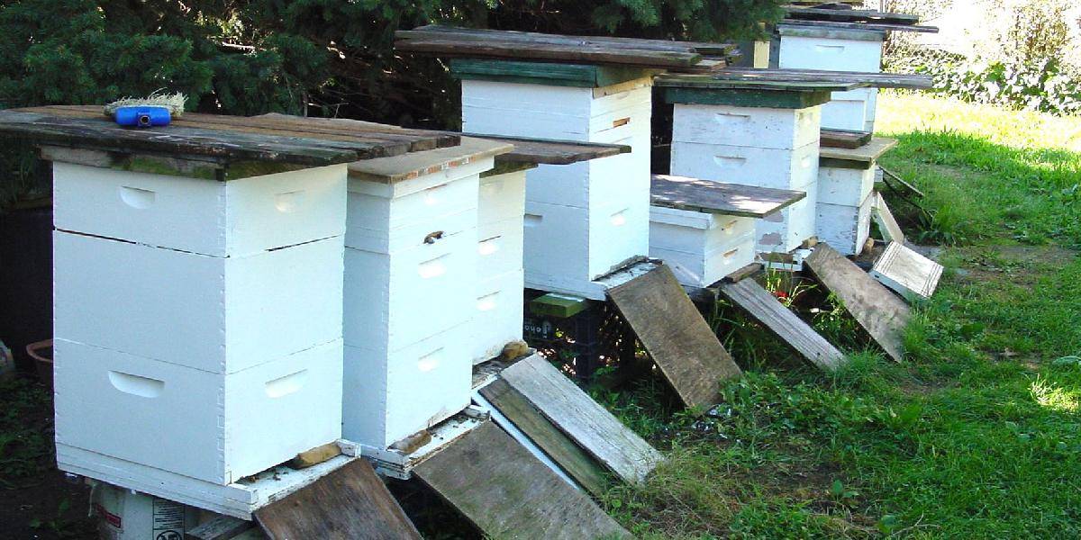Pri požiari v Michalovciach zhorelo dvadsaťdva včelích úľov