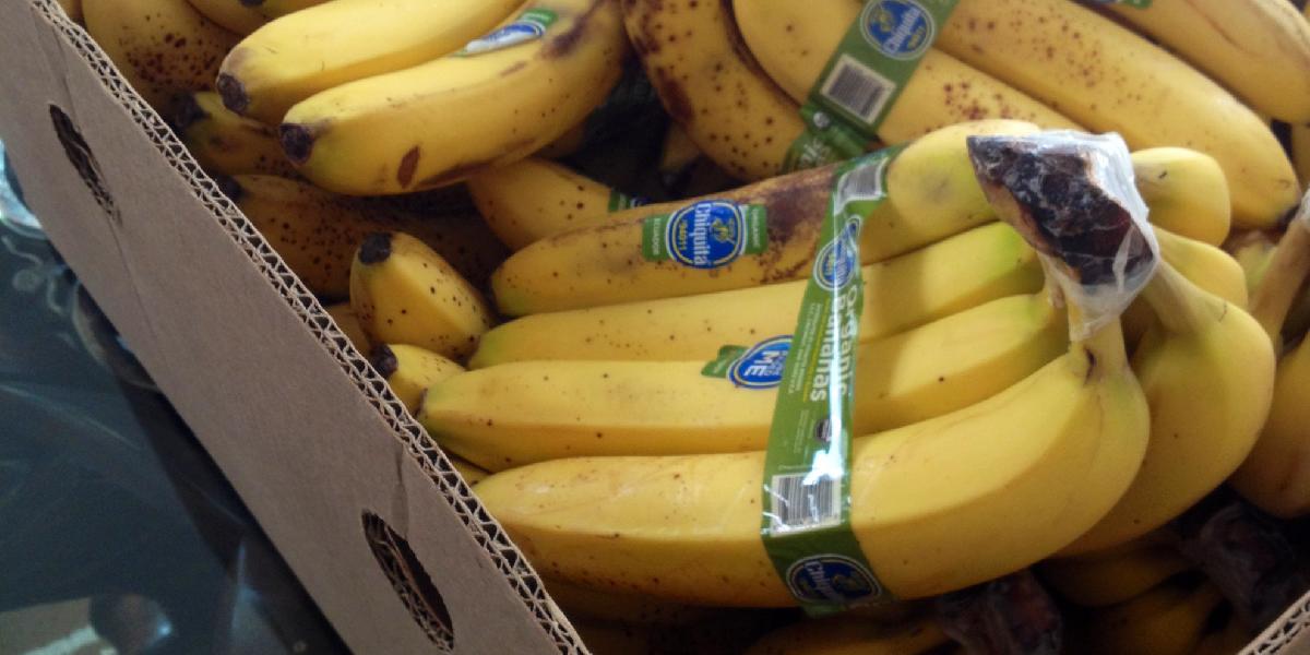 Skoro 100 kg kokaínu pašovali v škatuliach s banánmi!