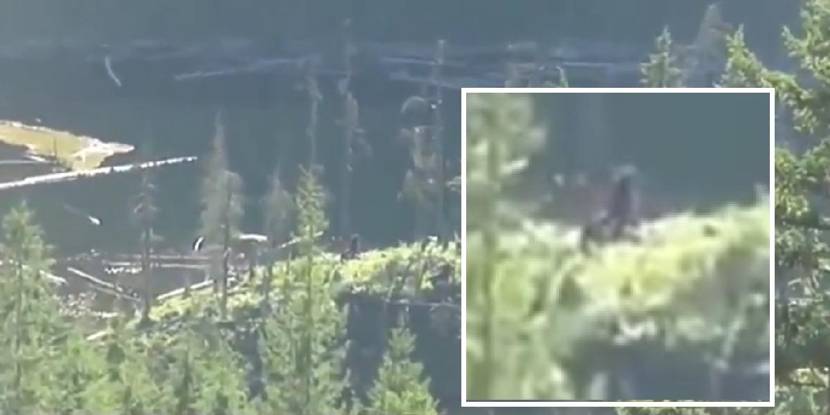 Šokujúce VIDEO: Sú toto zábery legendárneho Bigfoota?!