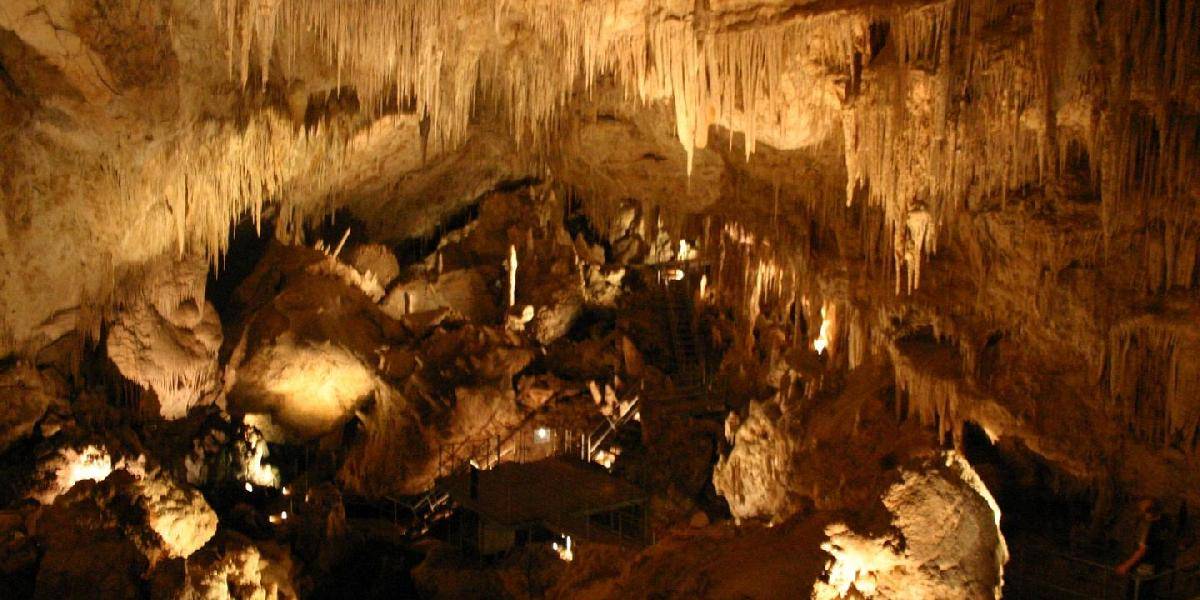 Zoológovia objavili v slovenských jaskyniach nové druhy živočíchov