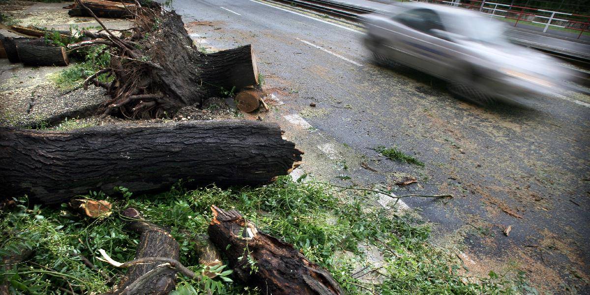 Ničivé búrky zasiahli Rakúsko: Poľovníka zabil spadnutý strom!