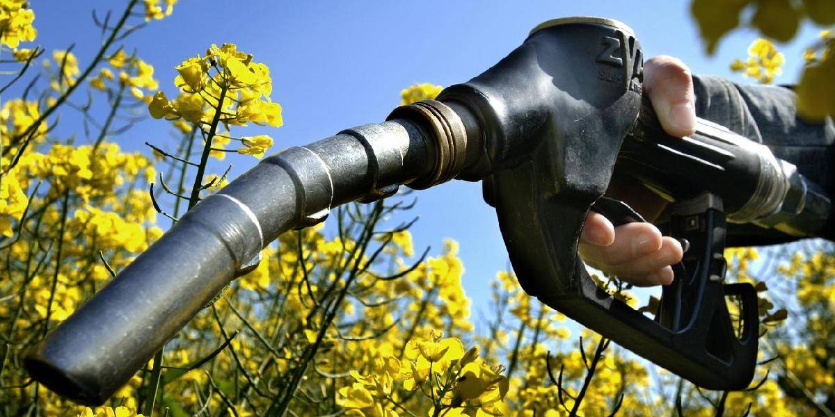 Farmári v EÚ nesúhlasia so znížením biopalív v nafte a benzínoch