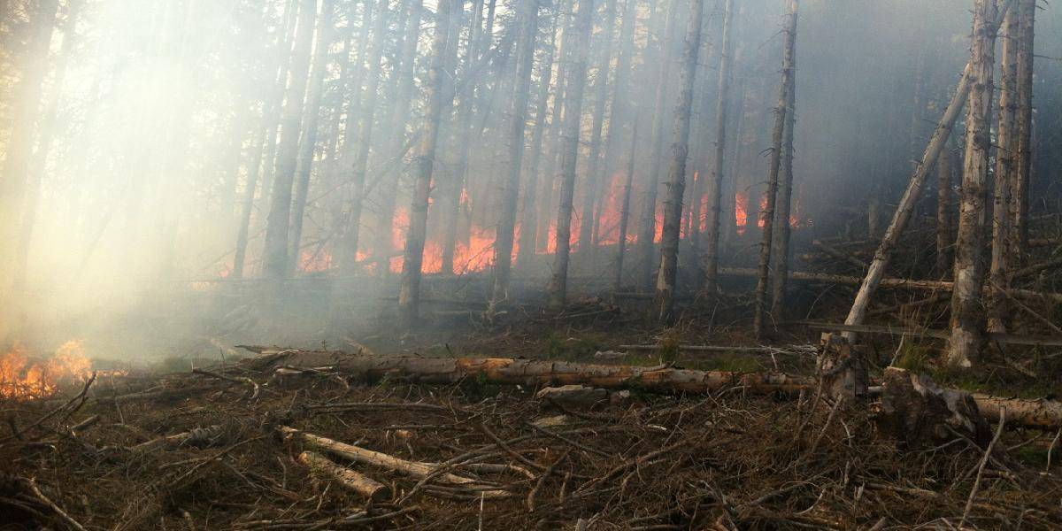 Hasiči stále bojujú s požiarom štátnych lesov pri Betliari, škody budú vysoké