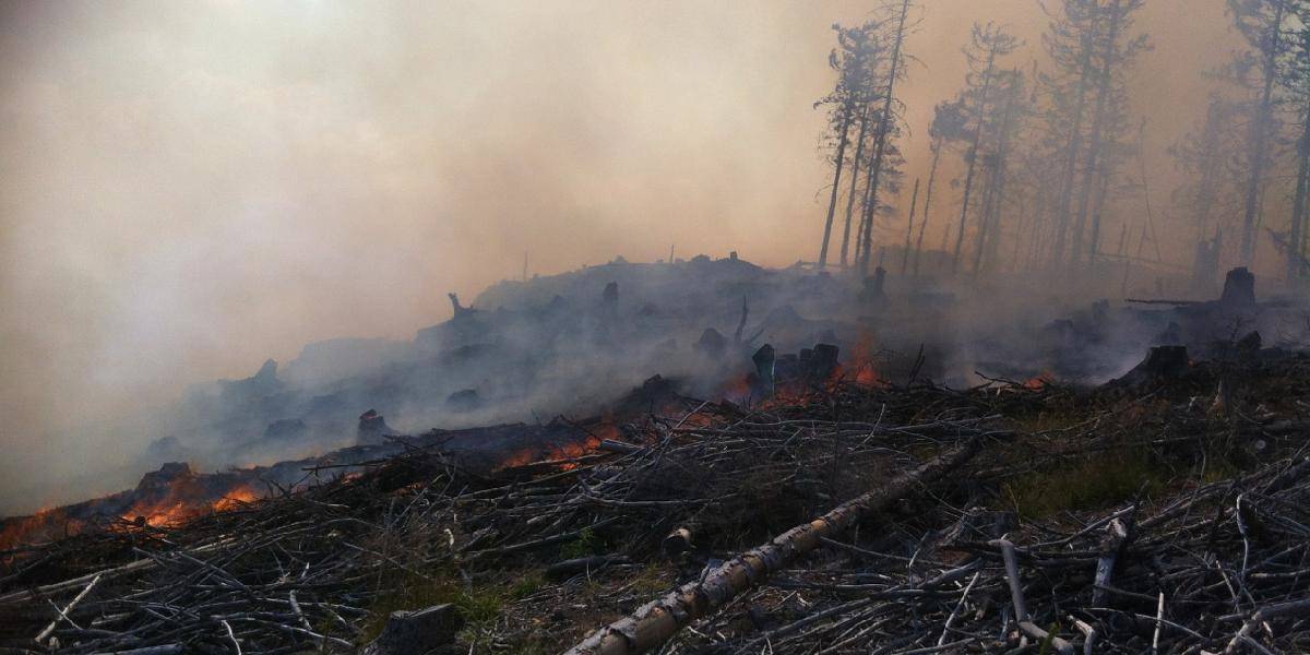 Boj s lesným požiarom pri Betliari pokračuje štvrtý deň