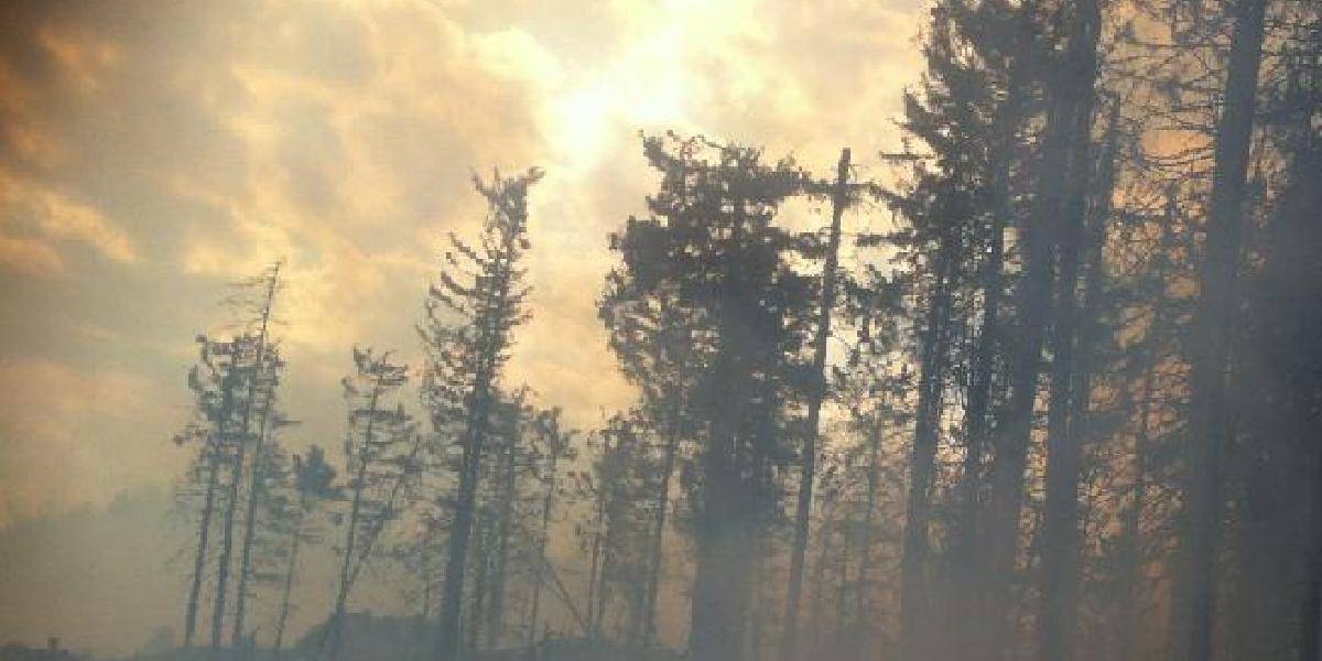 Hasičom sa dnes podarilo zlikvidovať veľký lesný požiar nad Betliarom