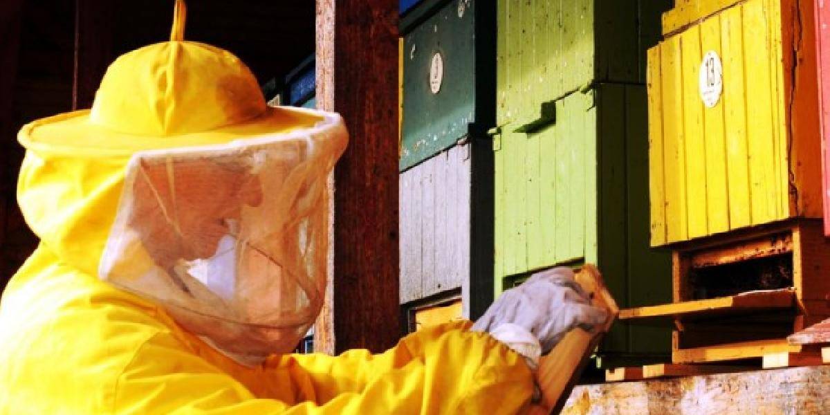 Slovenskí včelári by mali tento rok vyprodukovať 7 tis. ton medu