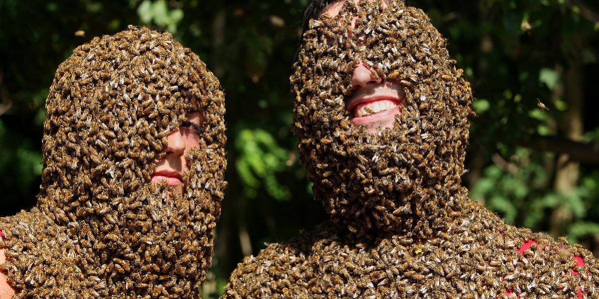 V Kanade sa uskutočnila bláznivá súťaž o najkrajšiu včeliu bradu