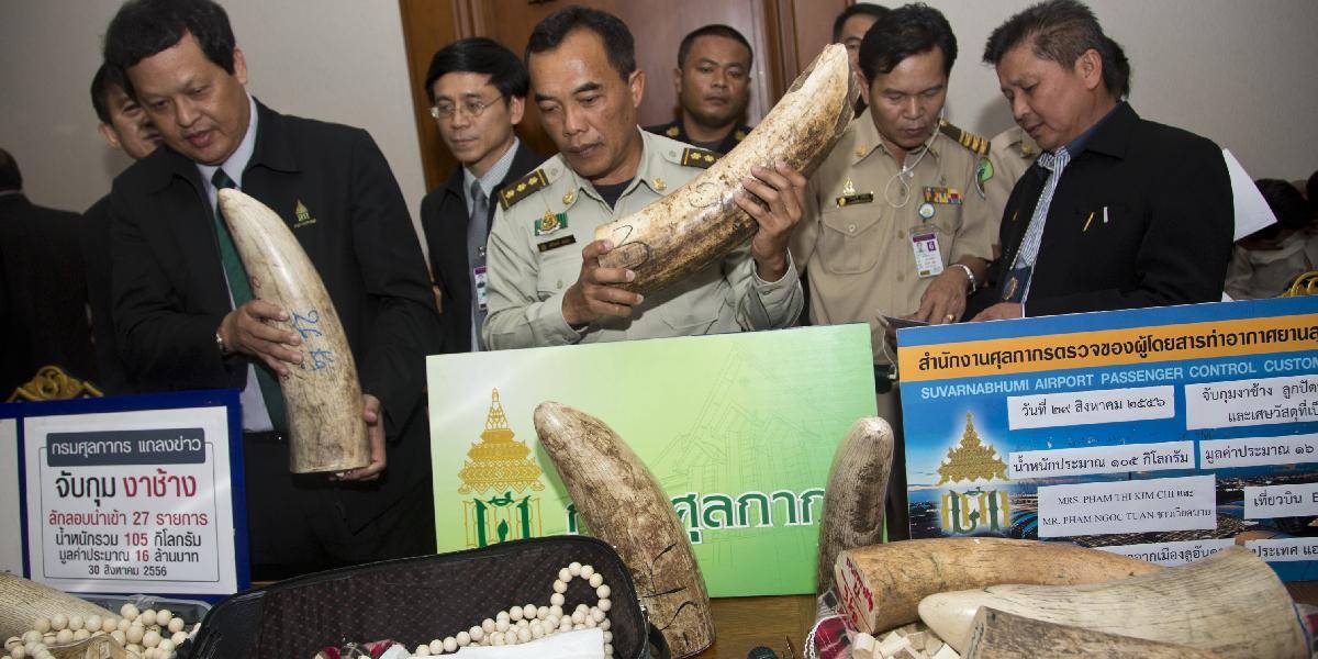 Polícia zhabala na letisku v Bangkoku slonovinu v hodnote takmer 400-tisíc
