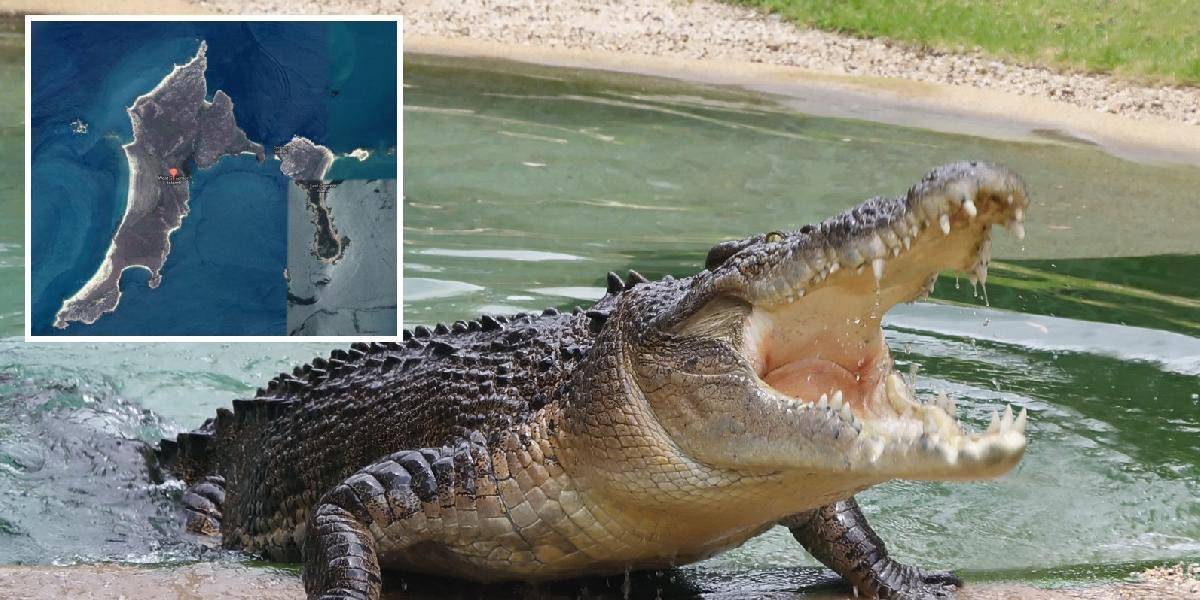 Dva týždne hrôzy: Mladíka na ostrove uväznil šesťmetrový krokodíl!