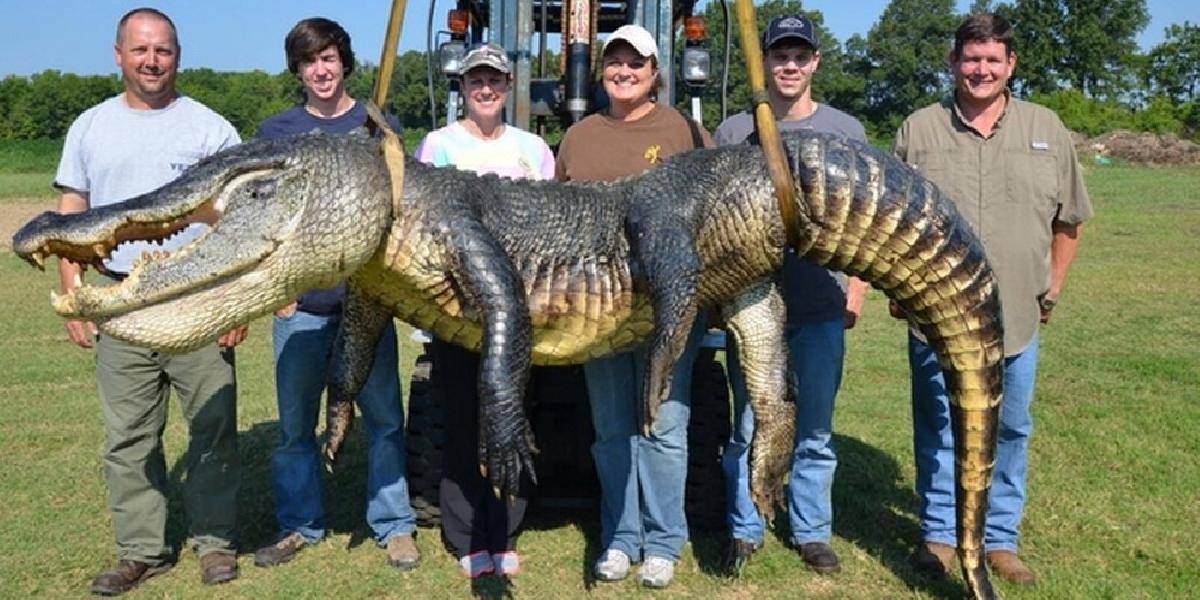 Rekordný úlovok: Z rieky vylovil 330-kilového krokodíla!