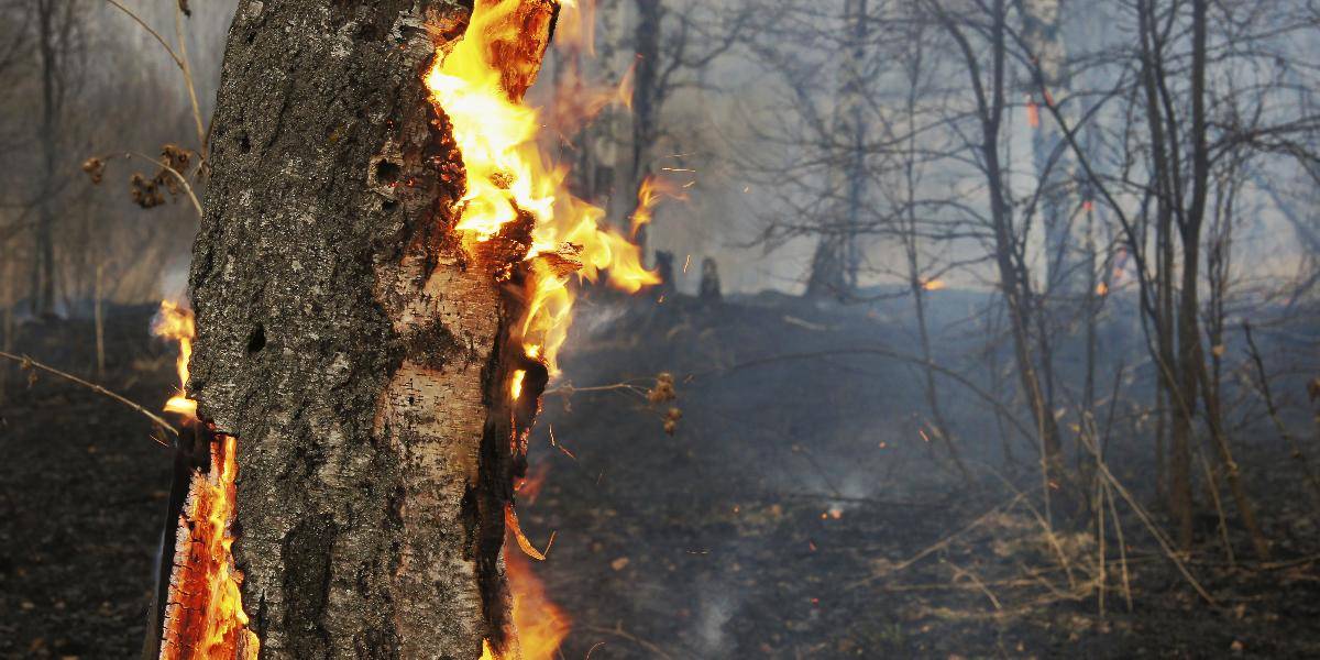 Lesné požiare v Portugalsku majú šiestu obeť