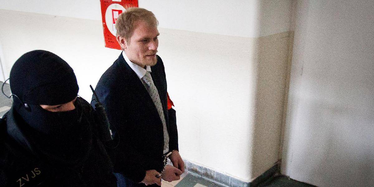 Sergej a Alexander Salmanovovci sa sťažujú na ústavnom súde