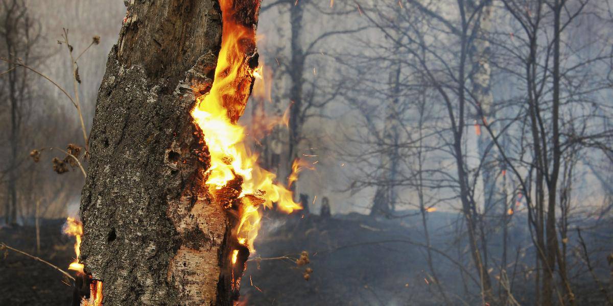 V dunajskostredskom okrese úradoval podpaľač, zaznamenali päť požiarov slamy a stohov slamy