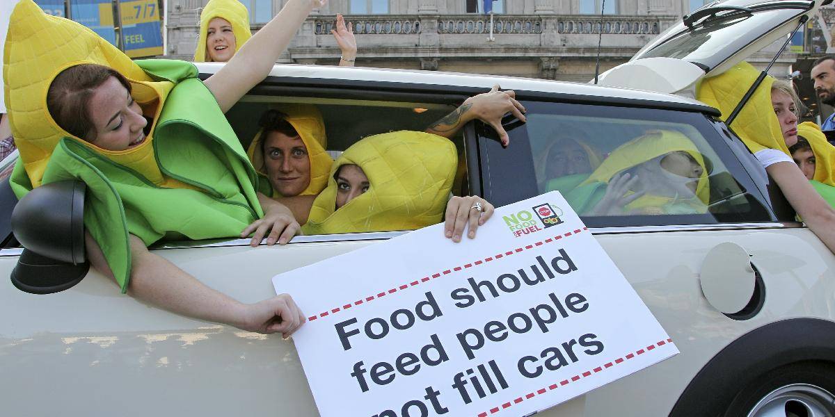 Europoslanci schválili obmedzenie biopalív z potravín a presadzujú alternatívu