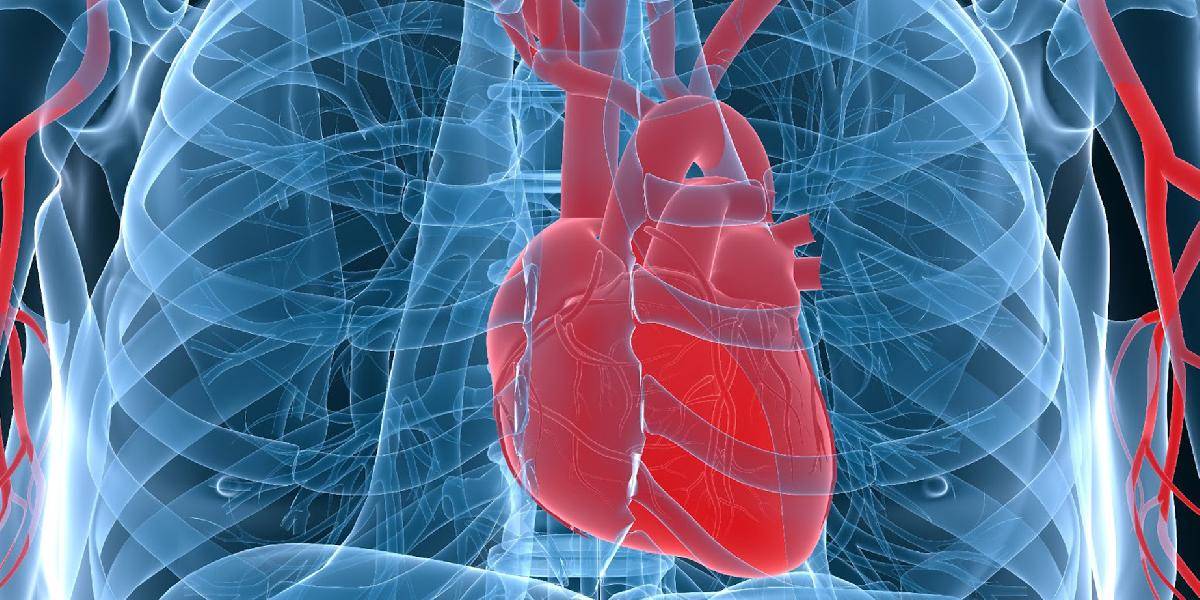Srdcové ochorenia zabíjajú na východe Slovenska trikrát viac než na západe