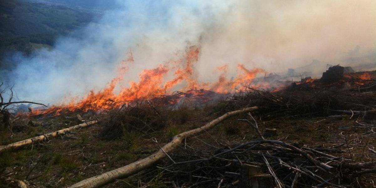 Požiar prírodnej rezervácie v Galícii sa nedarí dostať pod kontrolu