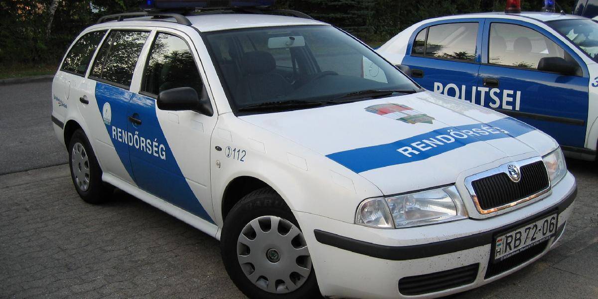 Zadržali dvoch maďarských policajtov kvôli úplatku 20 eur od slovenského vodiča