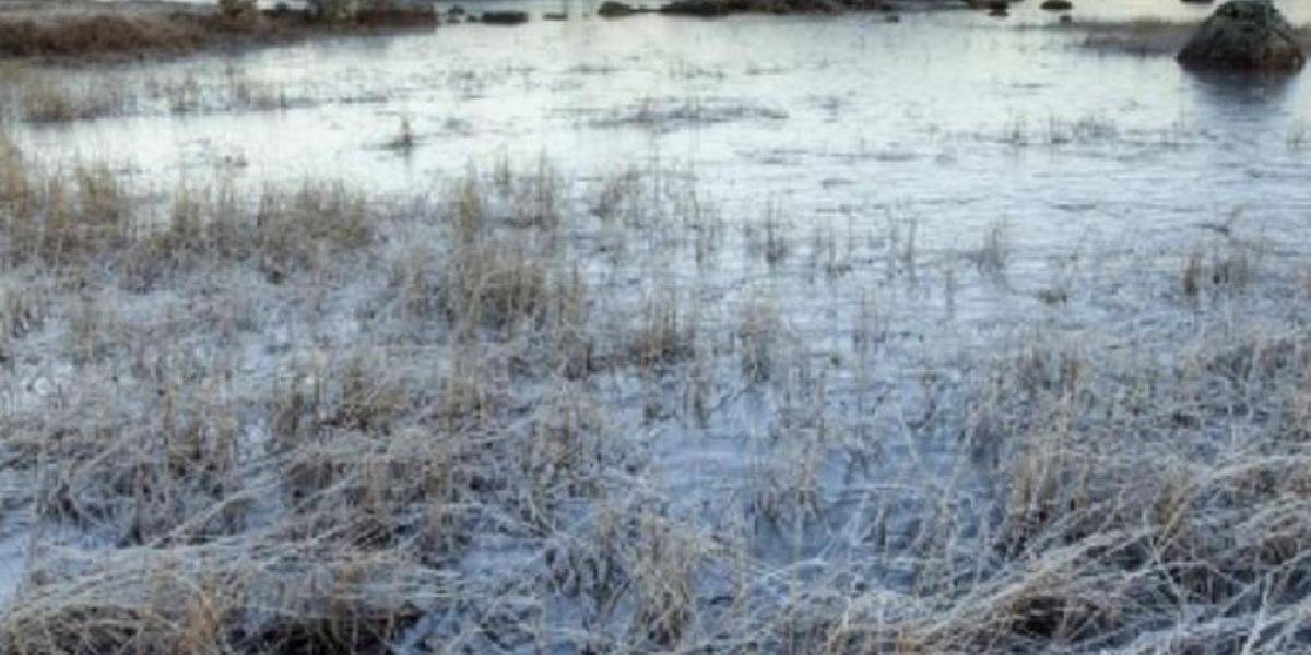 SHMÚ: Vo štvrtok hrozí nárazový vietor na horách, v piatok na juhu prízemný mráz