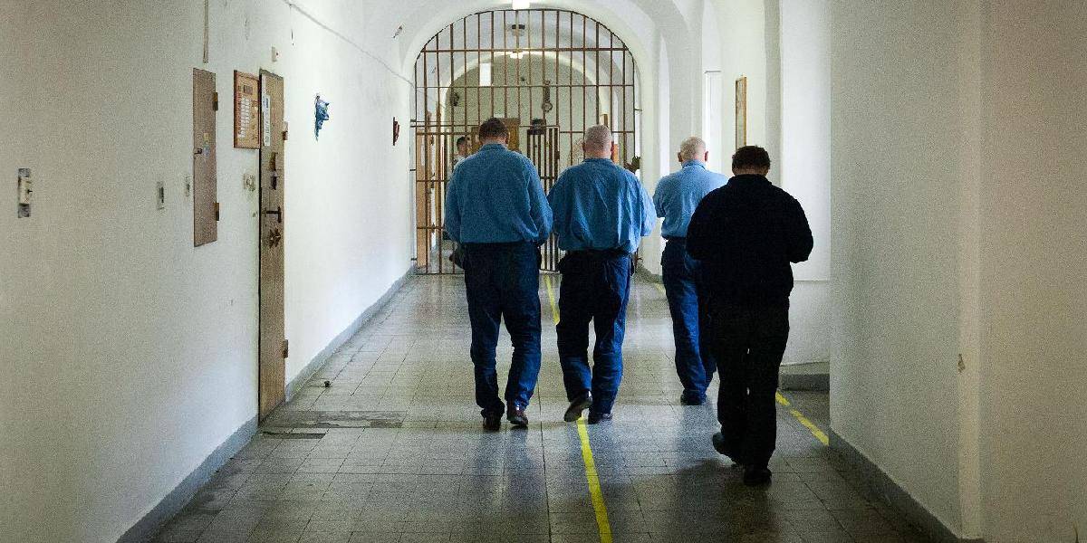 Väzni boli u lekára päťkrát častejšie, ako je slovenský priemer