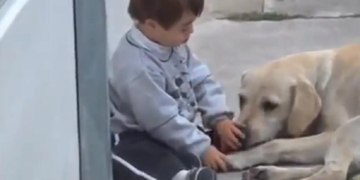 VIDEO s postihnutým chlapcom a psom dojalo svet!