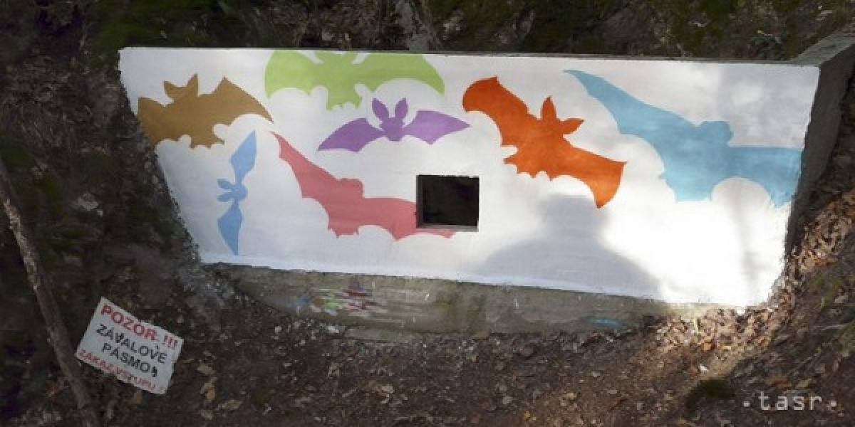 Graffity v lesoch Revúckej vrchoviny upozorňujú na úkryty netopierov