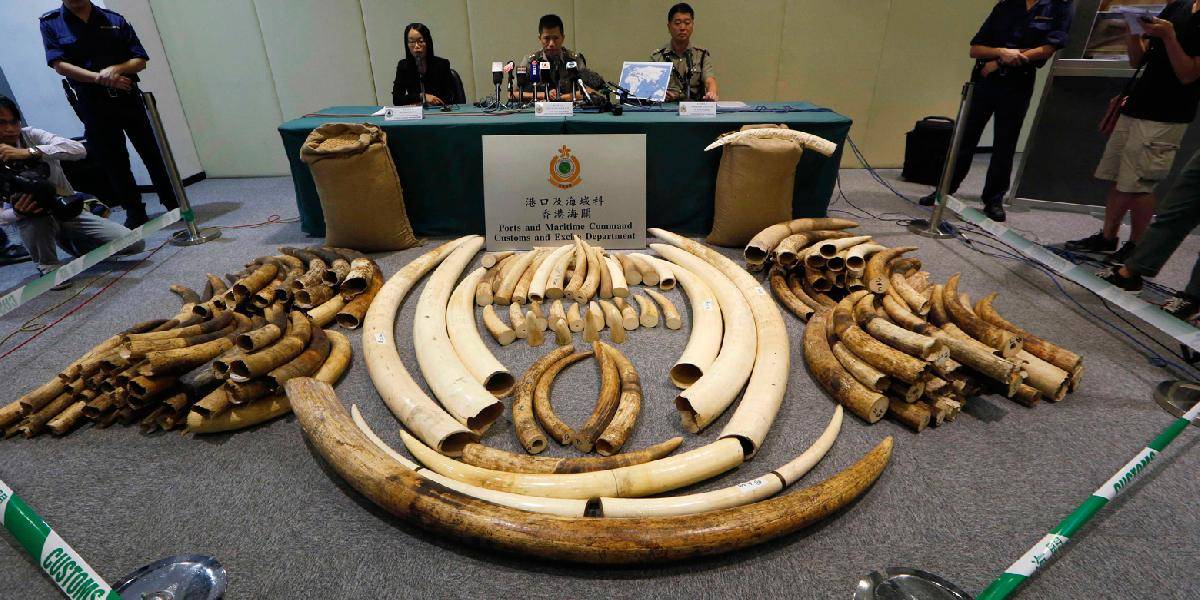 Vietnamskí colníci zhabali vyše dve tony pašovanej slonoviny!