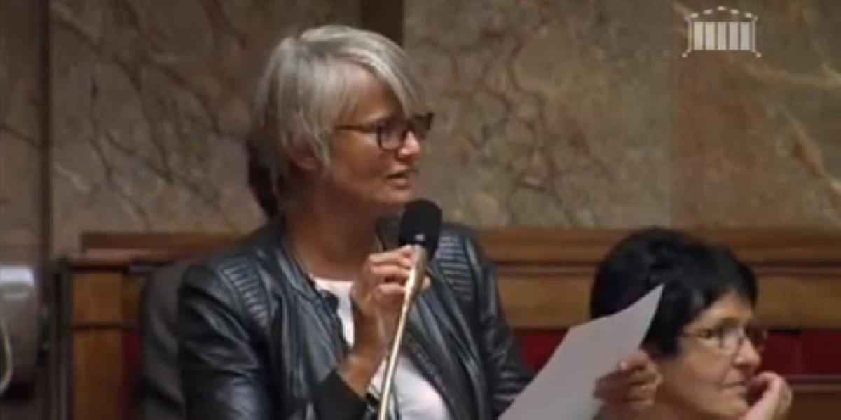 Francúzsky poslanec príde za kotkodákanie v parlamente o 1380 eur