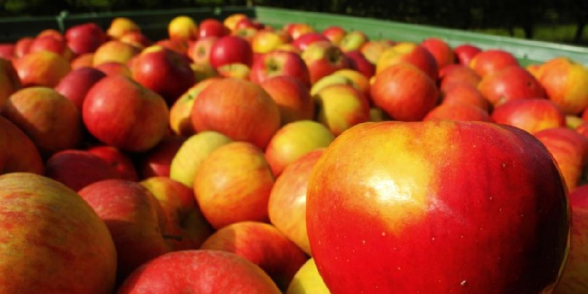 Jablká si cenia vo viacerých európskych krajinách