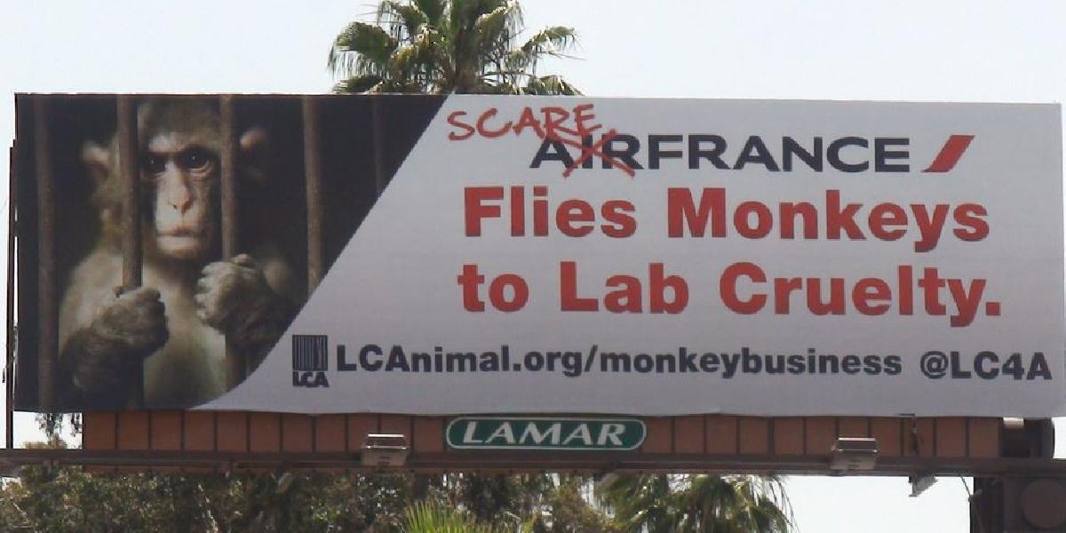 Air France obhajuje prepravu opíc na laboratórne testy