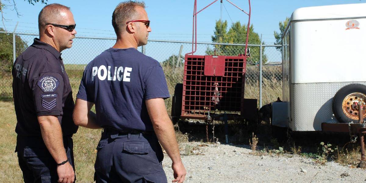 Kanadská polícia rozbíja gang pašujúcich Rómov