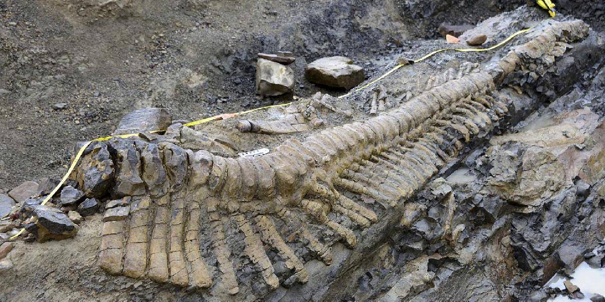 Americký študent objavil skamenelinu malého dinosaura