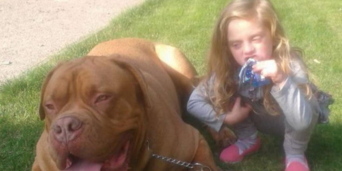 Tragédia: Pes z útulku zabil štvorročné dievčatko!