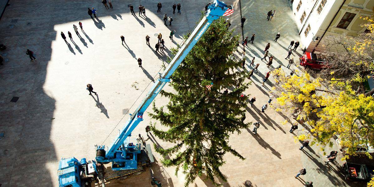 Bratislavčania budú mať od piatka svoj 14-metrový vianočný stromček