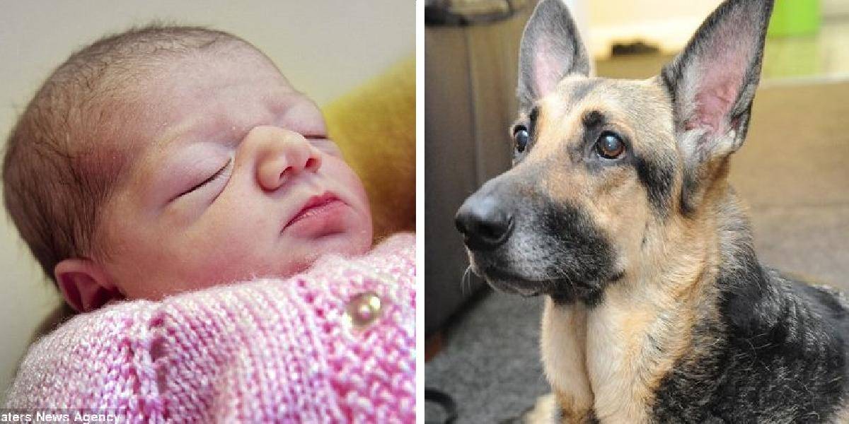 Krkavčia matka zahodila novorodenca do kríkov, zachránil ju pes!