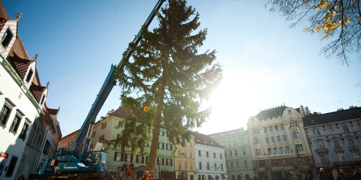 V Bratislave už postavili 14-metrový vianočný stromček