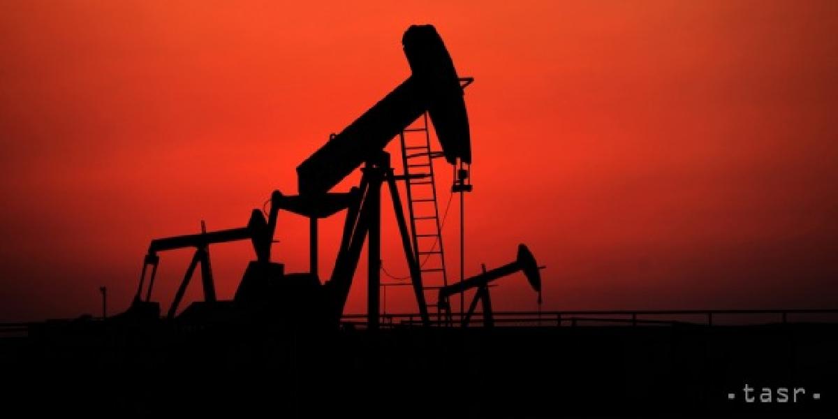 Trh s ropou je podľa OPEC stabilný, kartel asi svoju politiku nezmení
