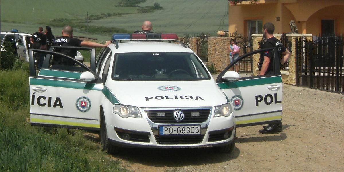 Policajti vo Veľkom Orvišti museli zastreliť túlavého psa